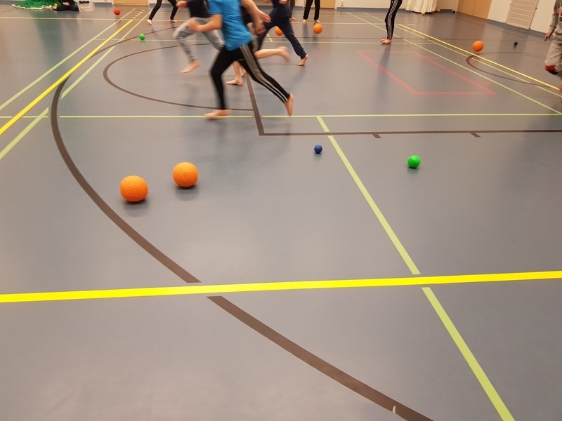 Oppilaat palloilemassa liikuntasalissa.
